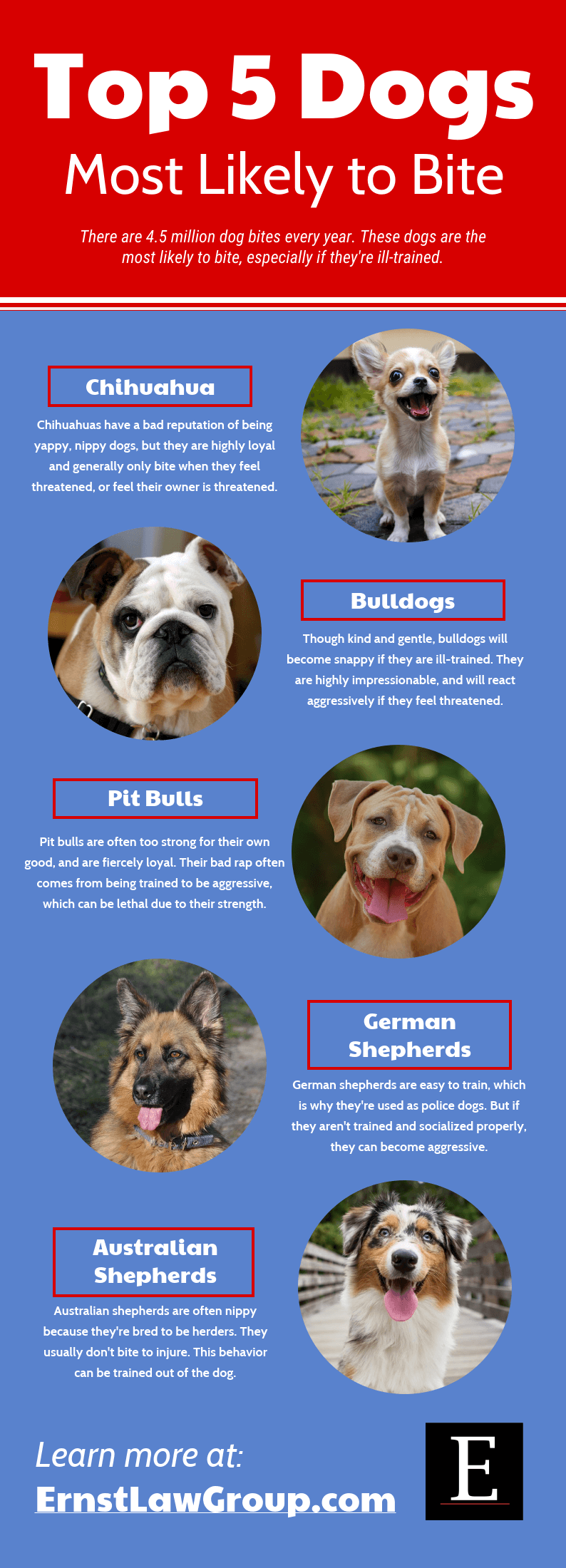 ernst top 5 dogs most likely to bite